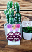 Load image into Gallery viewer, Long Live Cowgirls Dangles - Multiple Options