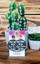 Load image into Gallery viewer, Don’t Make Me Go Beth Dutton Dangles - Multiple Options