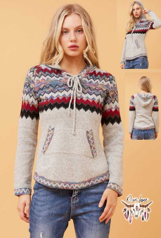 Amie Hooded Knit Pullover