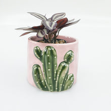 Load image into Gallery viewer, Pink Cactus Planter
