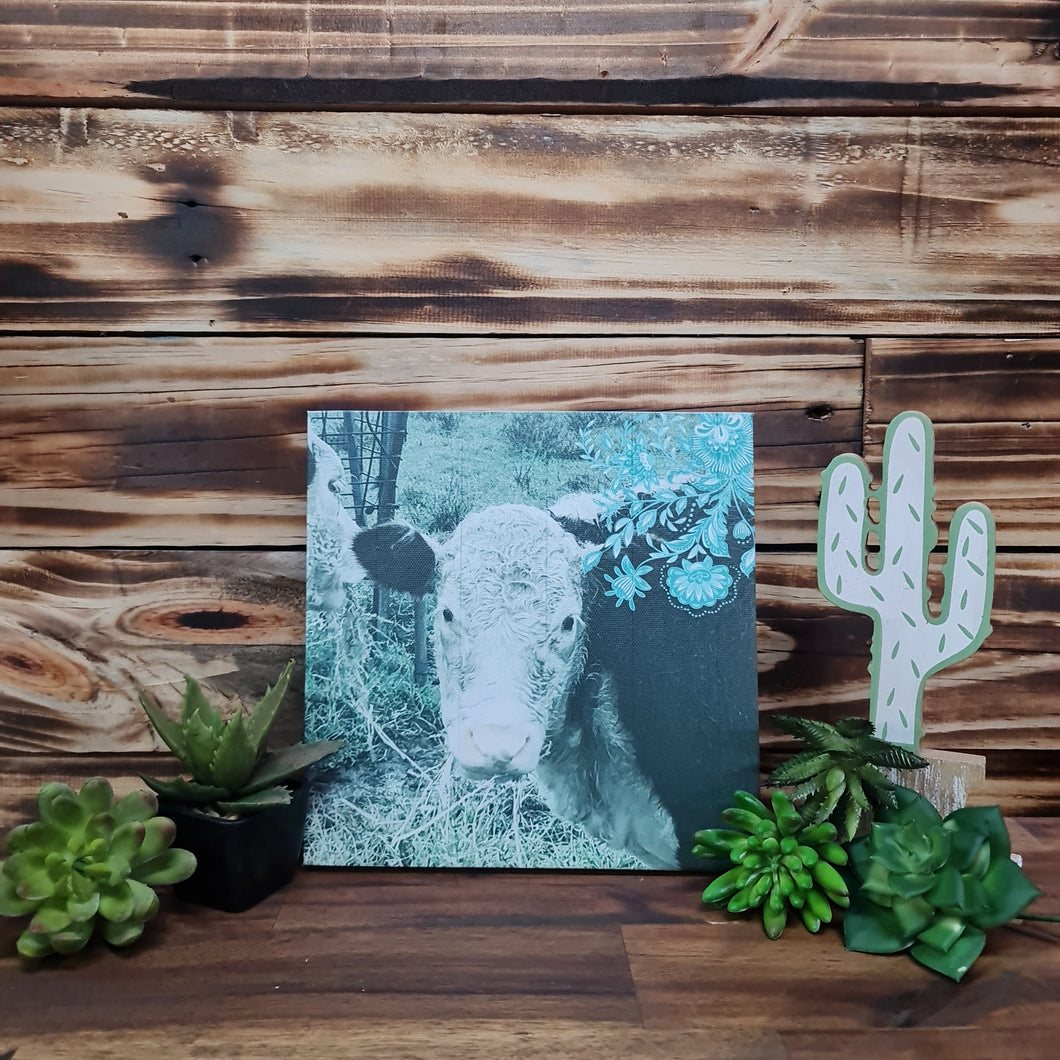 Country Cow Canvas