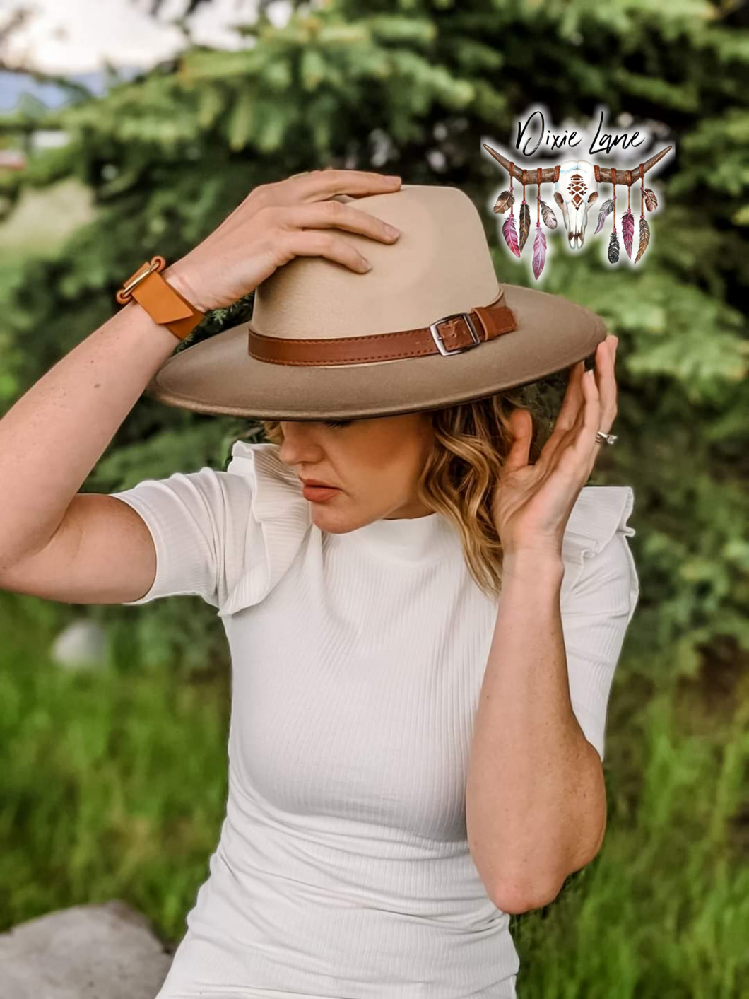 Ombre Panama Hat - Olive